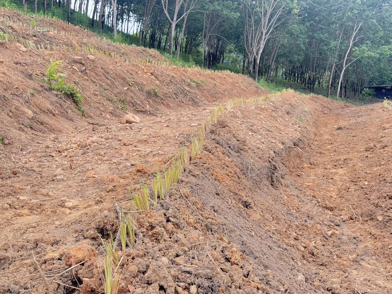 ภาพประกอบที่ 9