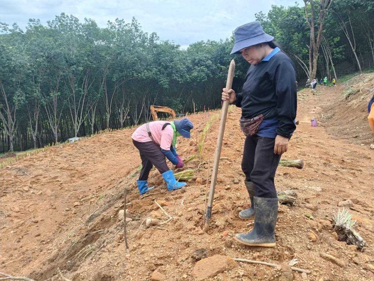 ภาพประกอบที่ 10