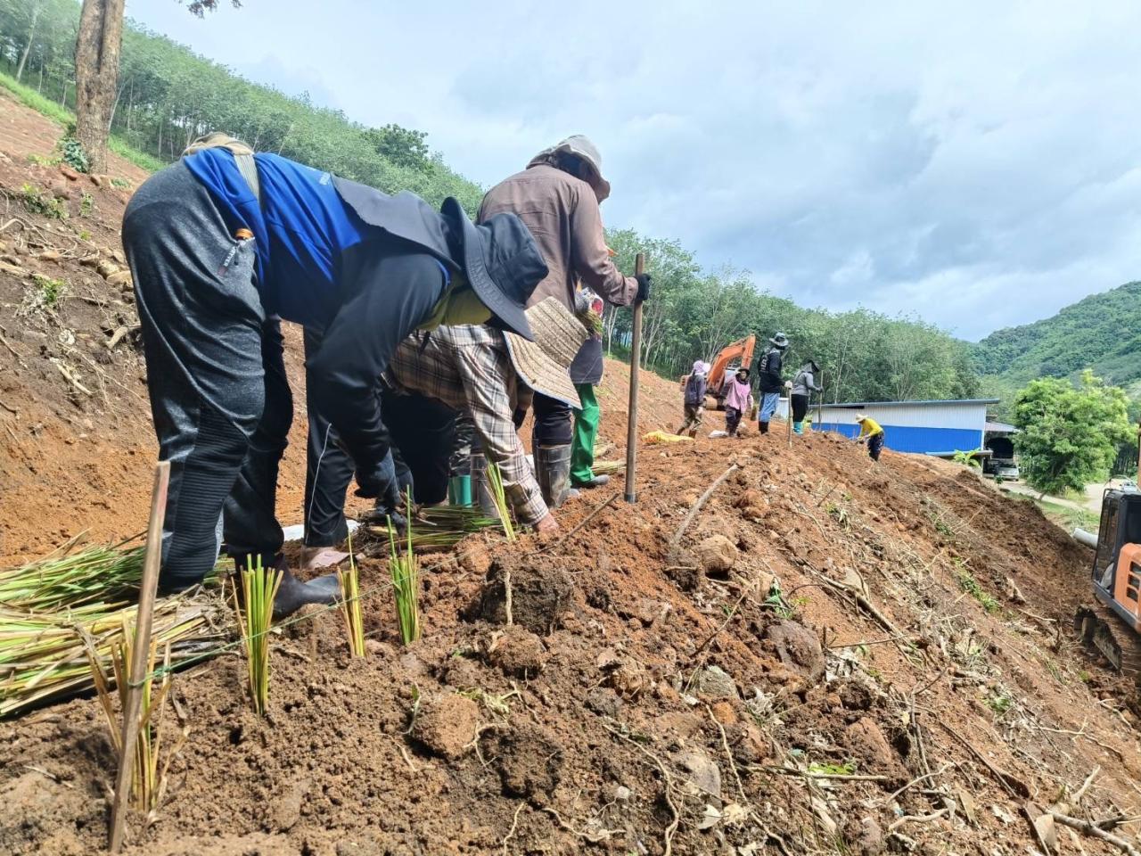 ภาพประกอบที่ 11