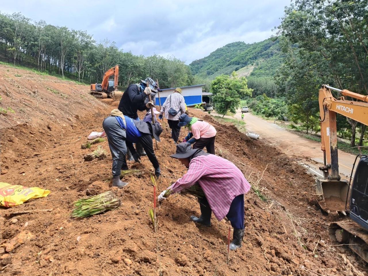 ภาพประกอบที่ 12