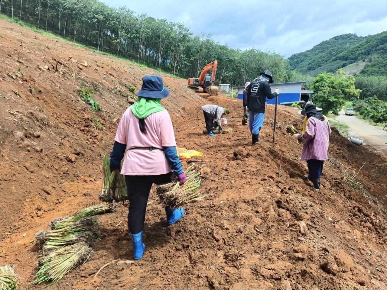 ภาพประกอบที่ 13