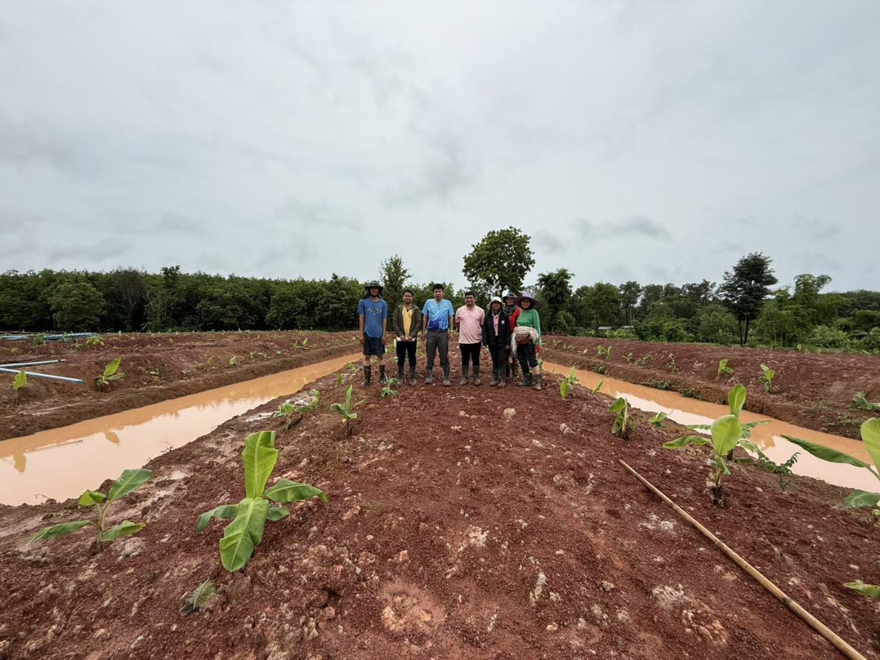 ภาพประกอบที่ 6