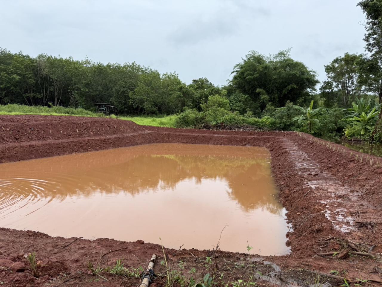 ภาพประกอบที่ 10