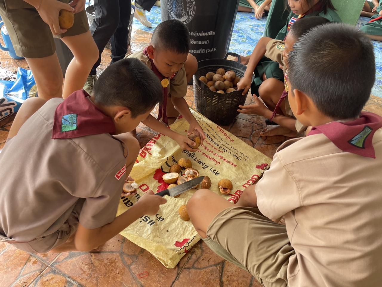 ภาพประกอบที่ 17