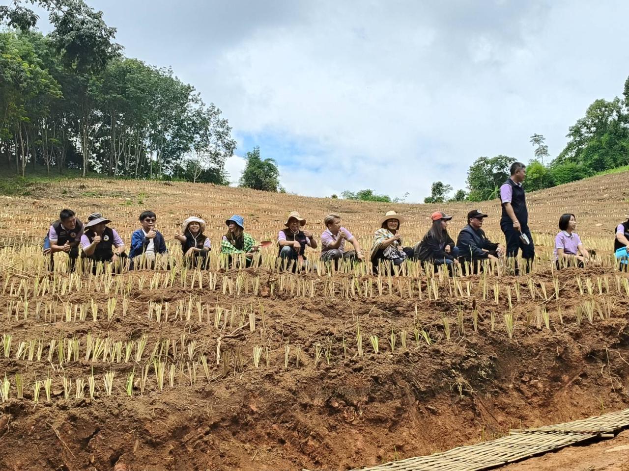 ภาพประกอบที่ 2