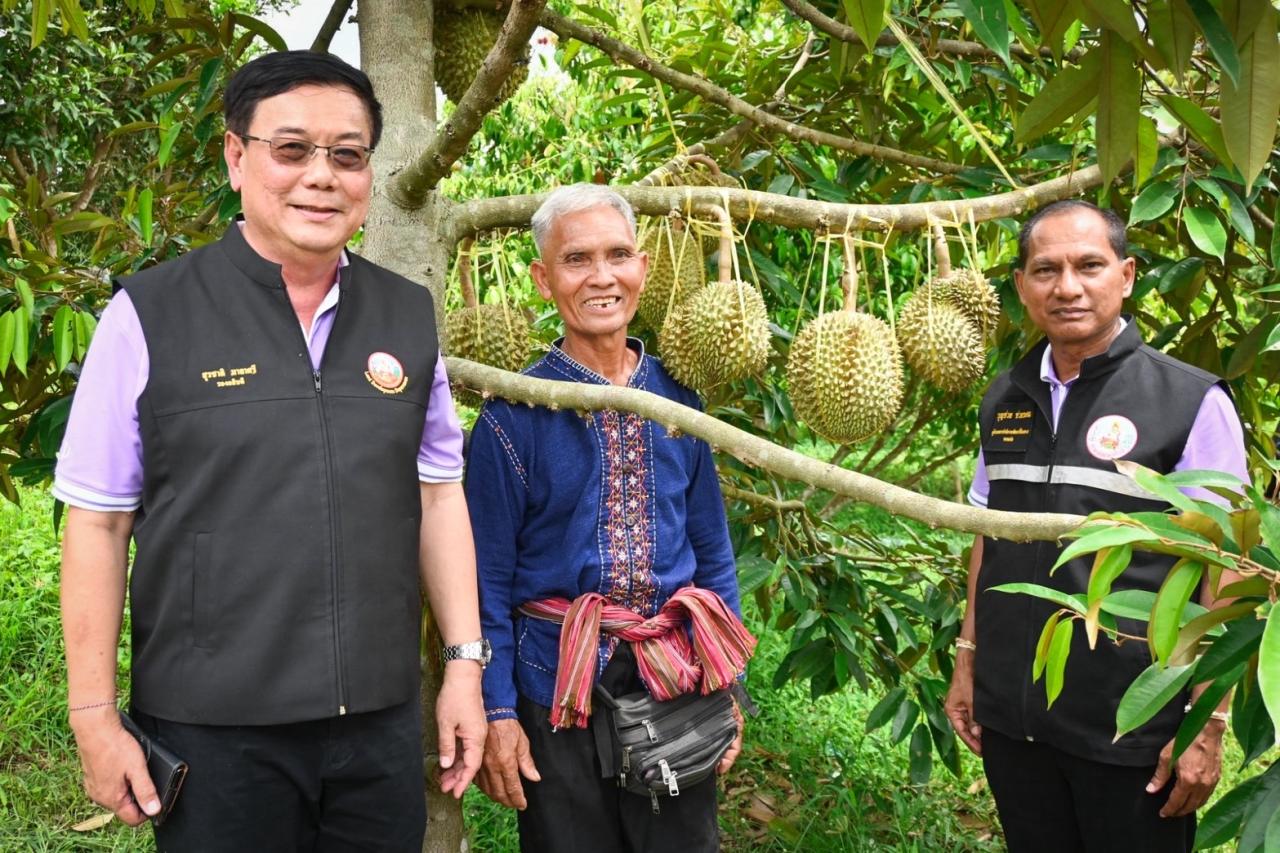 ภาพประกอบที่ 5