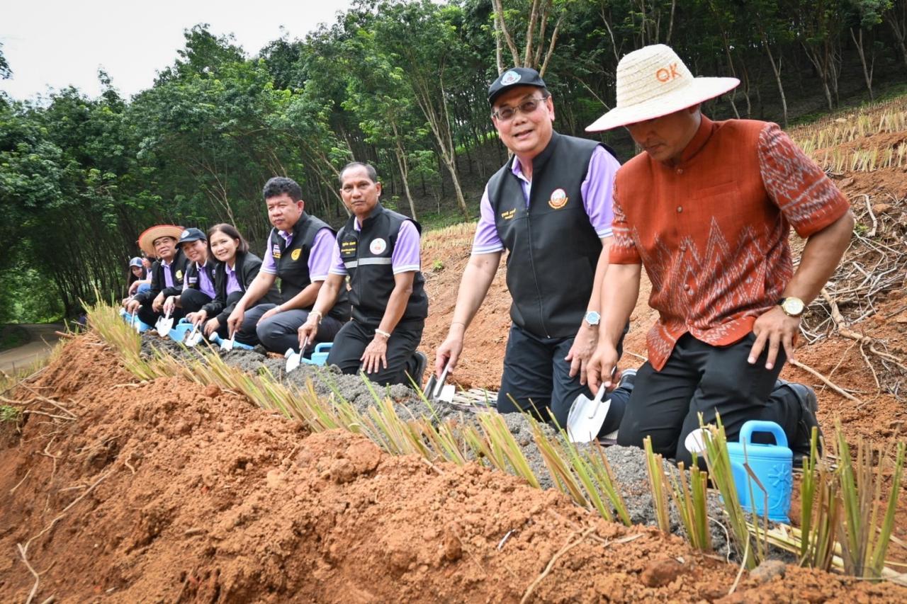 ภาพประกอบที่ 15