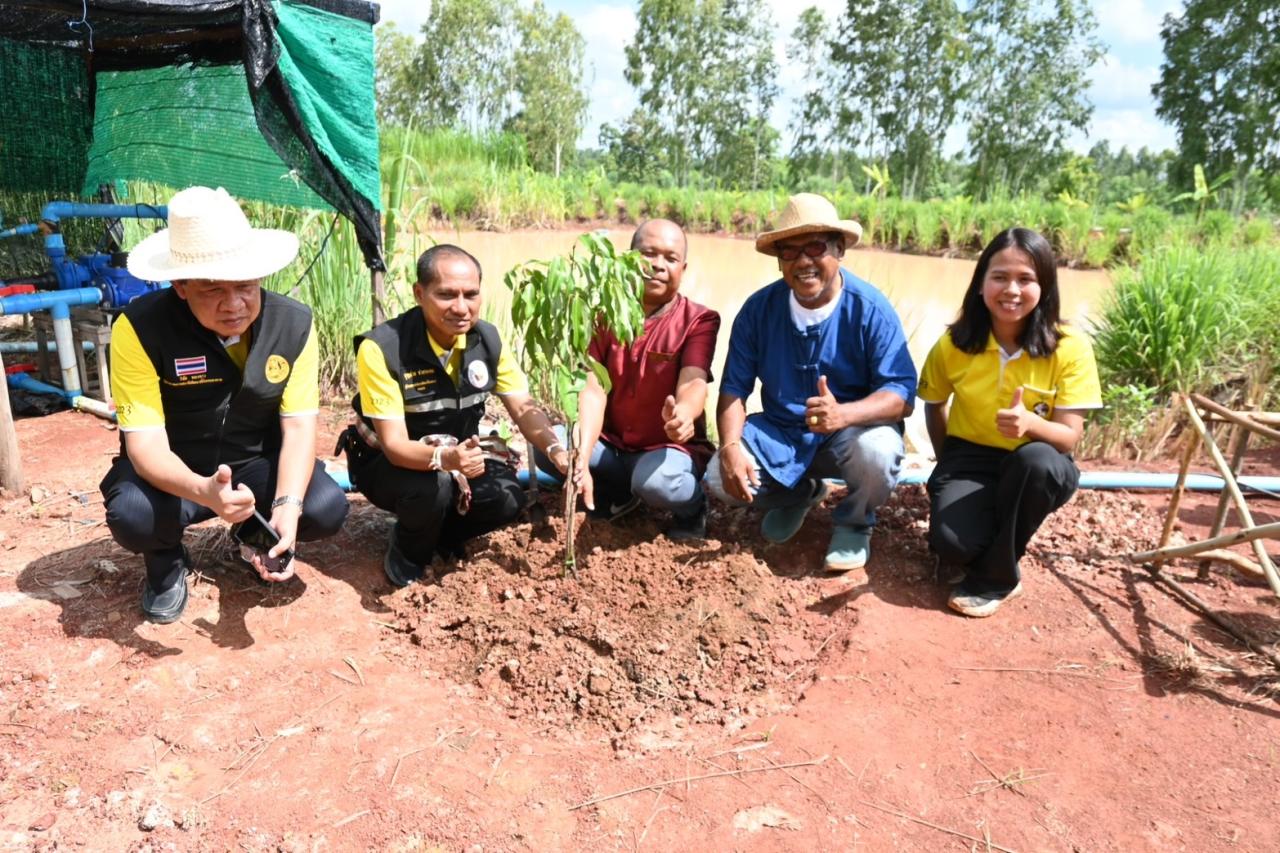 ภาพประกอบที่ 8