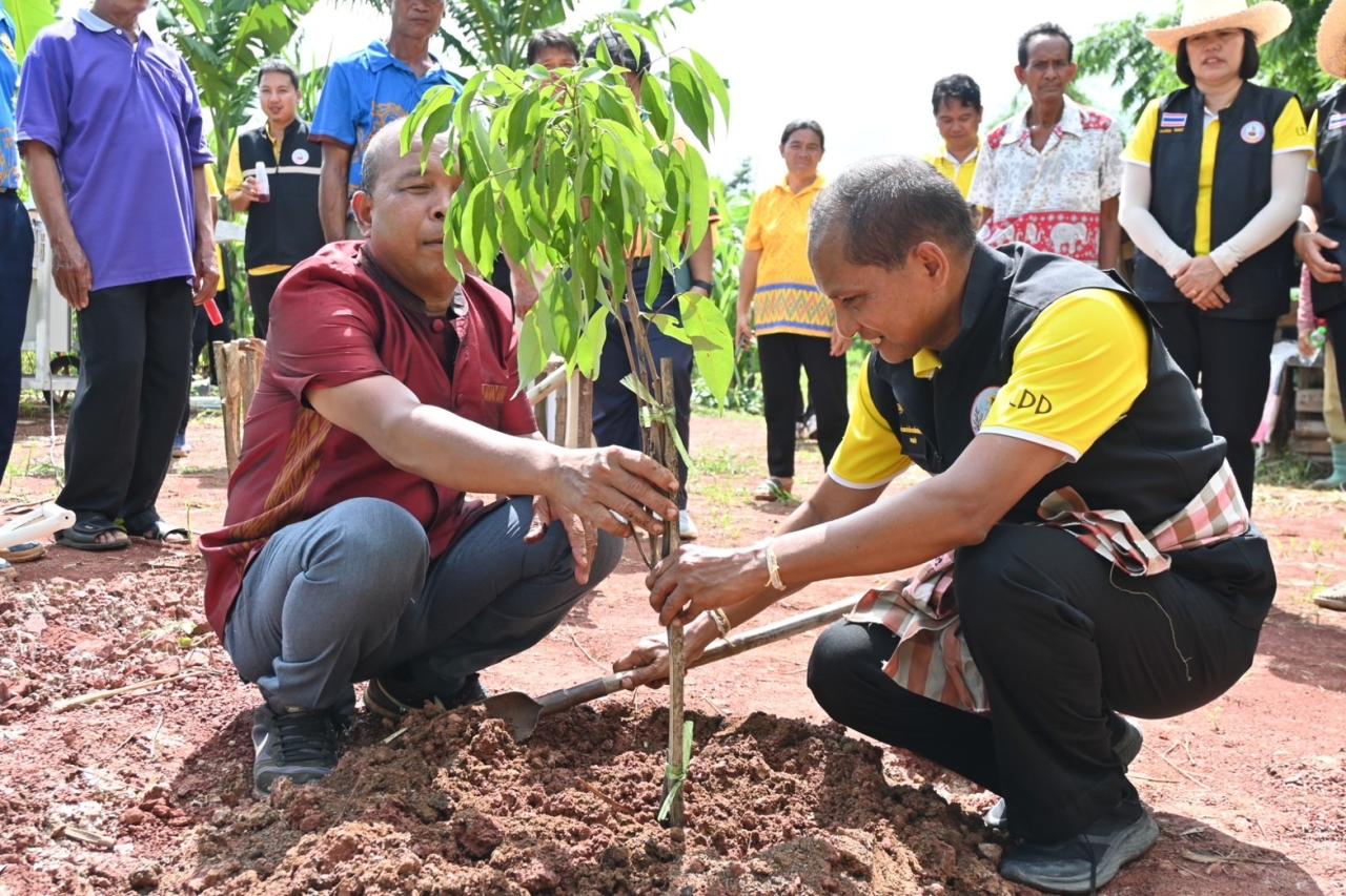 ภาพประกอบที่ 10