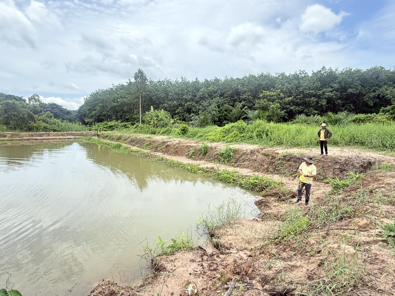 ภาพประกอบที่ 5