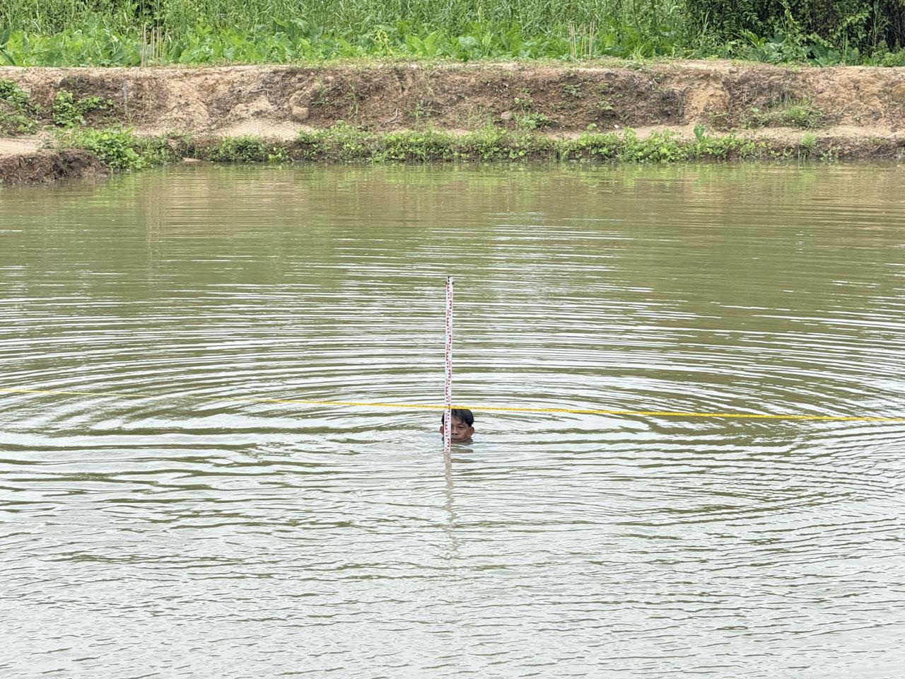 ภาพประกอบที่ 6