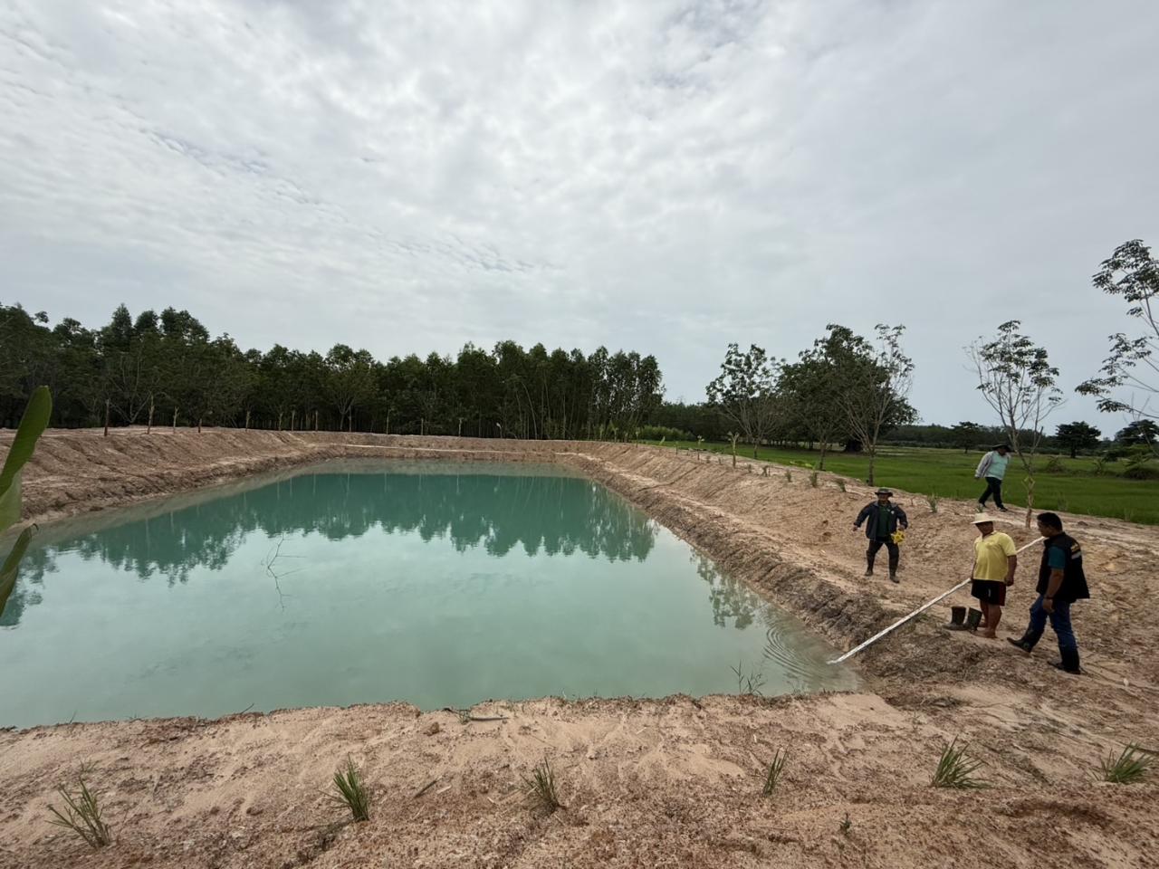 ภาพประกอบที่ 13