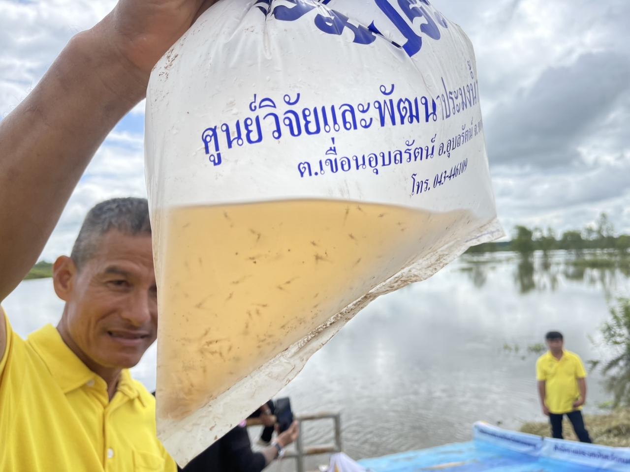 ภาพประกอบที่ 7