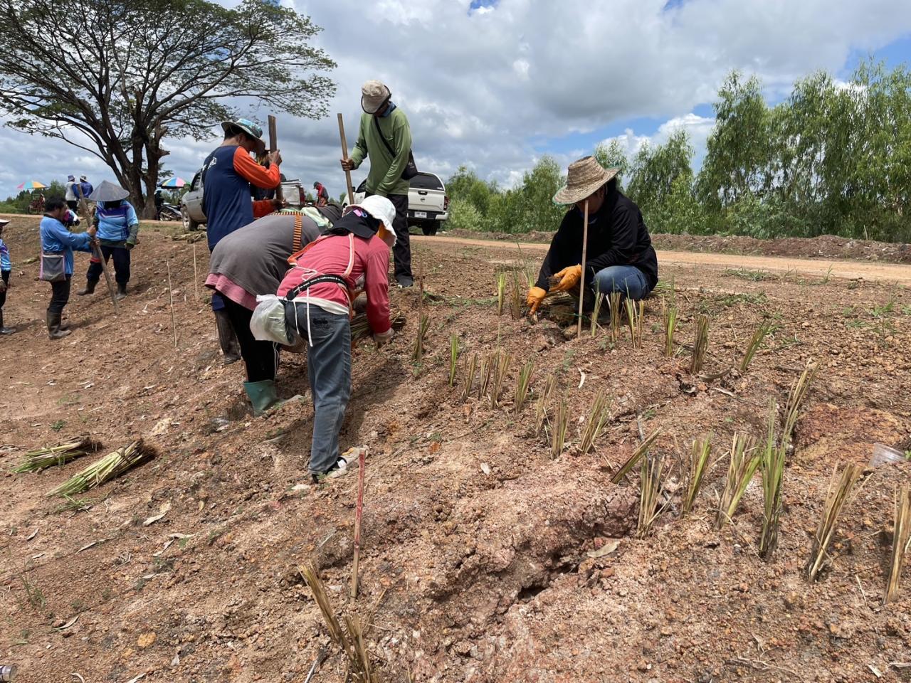 ภาพประกอบที่ 4