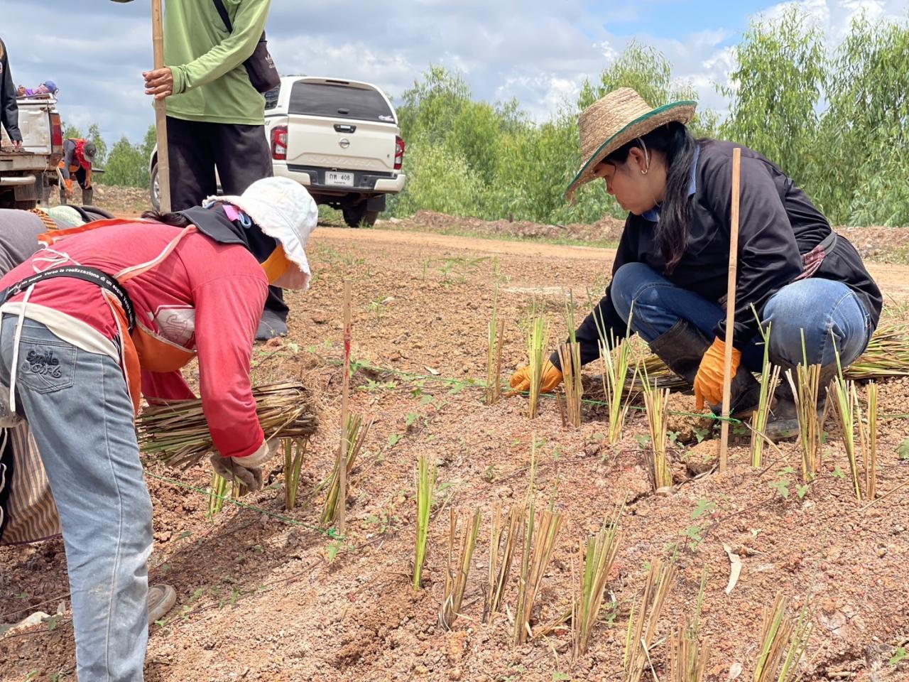 ภาพประกอบที่ 5