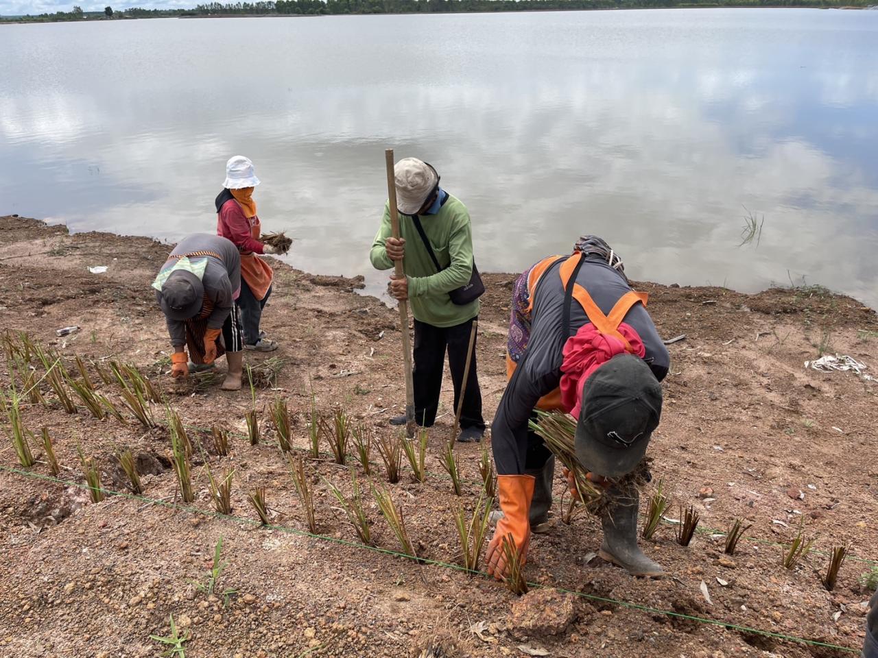 ภาพประกอบที่ 7