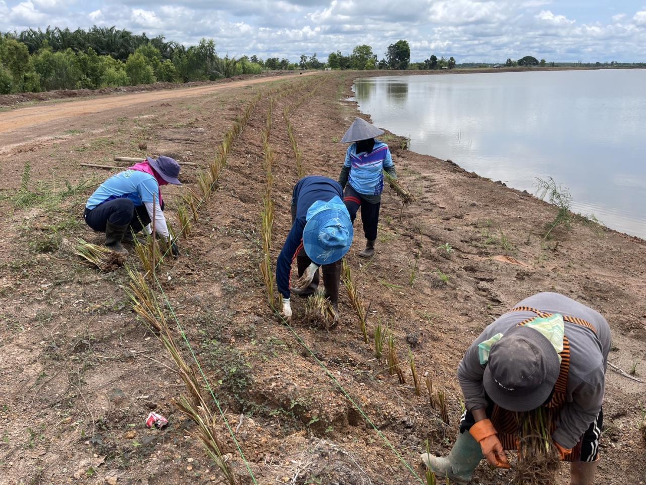 ภาพประกอบที่ 8