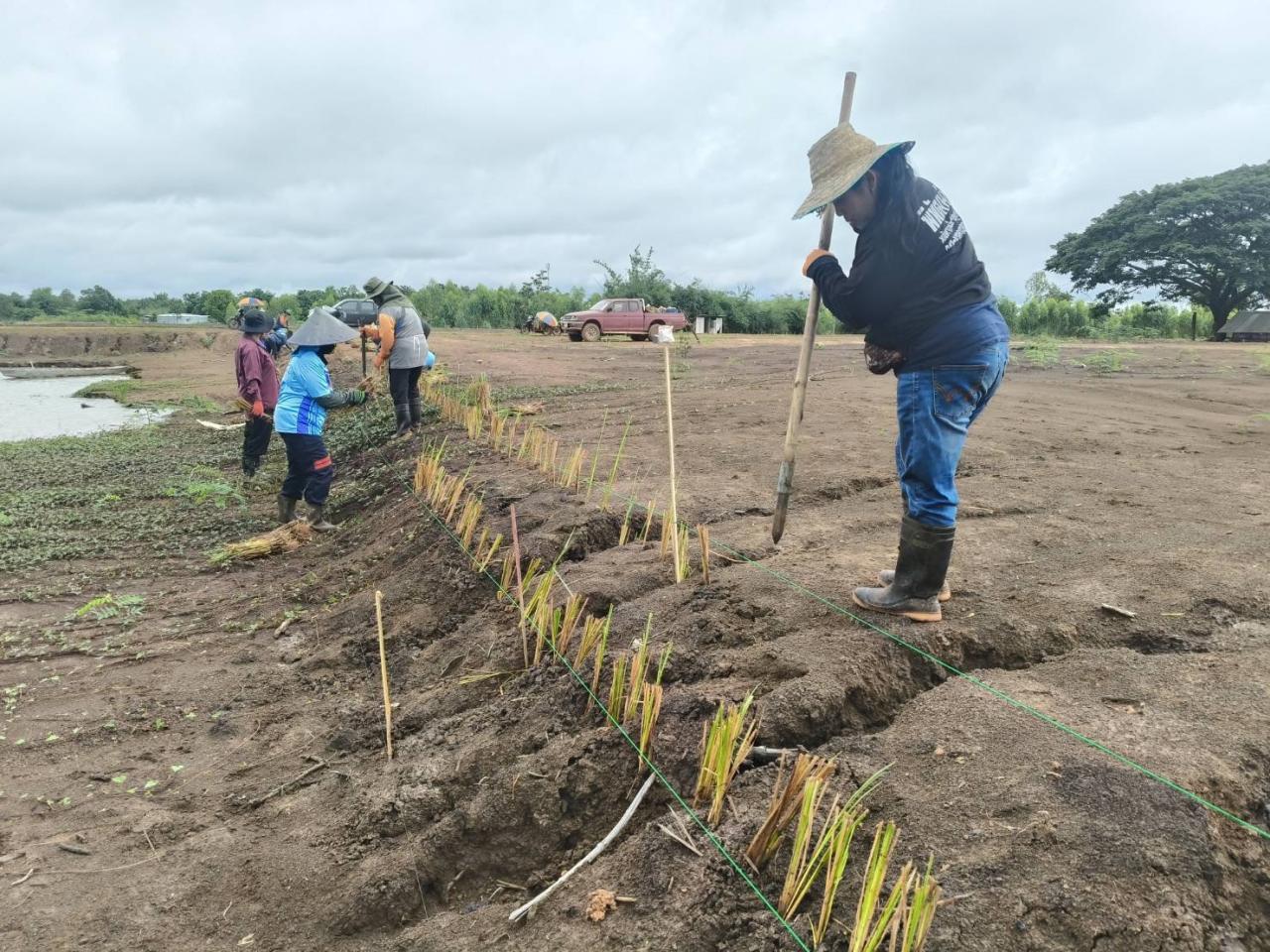 ภาพประกอบที่ 9