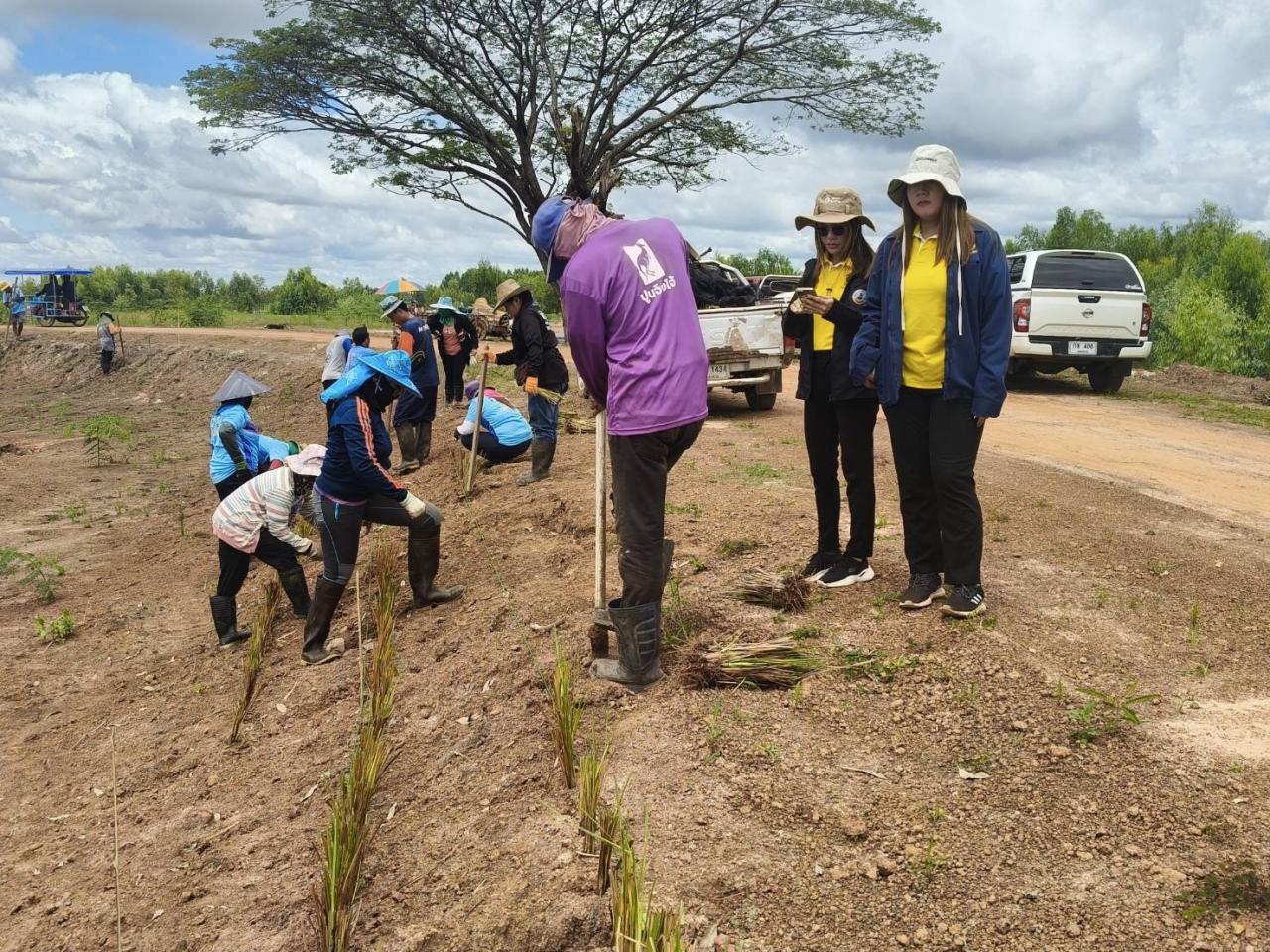 ภาพประกอบที่ 10