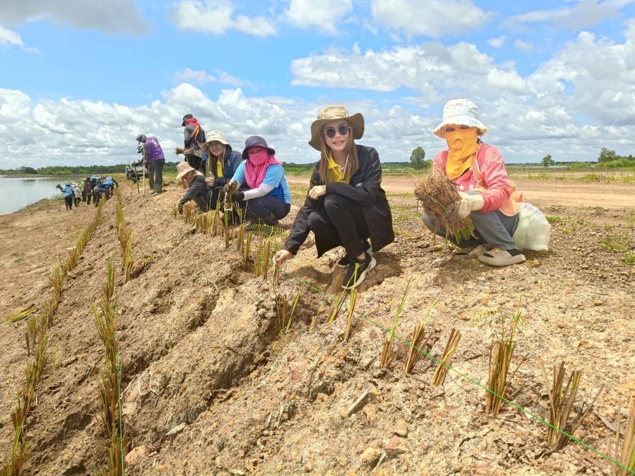 ภาพประกอบที่ 11