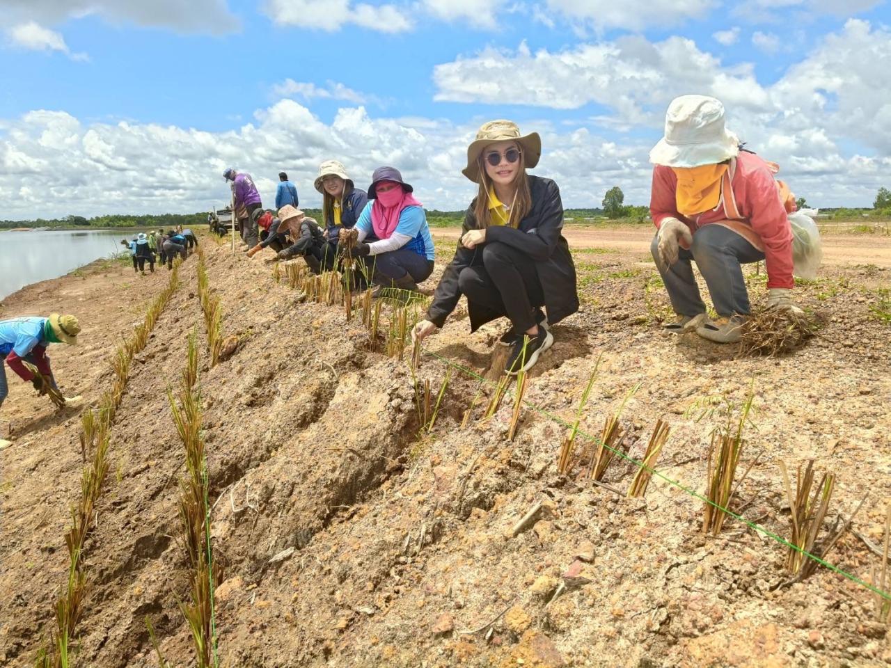 ภาพประกอบที่ 12