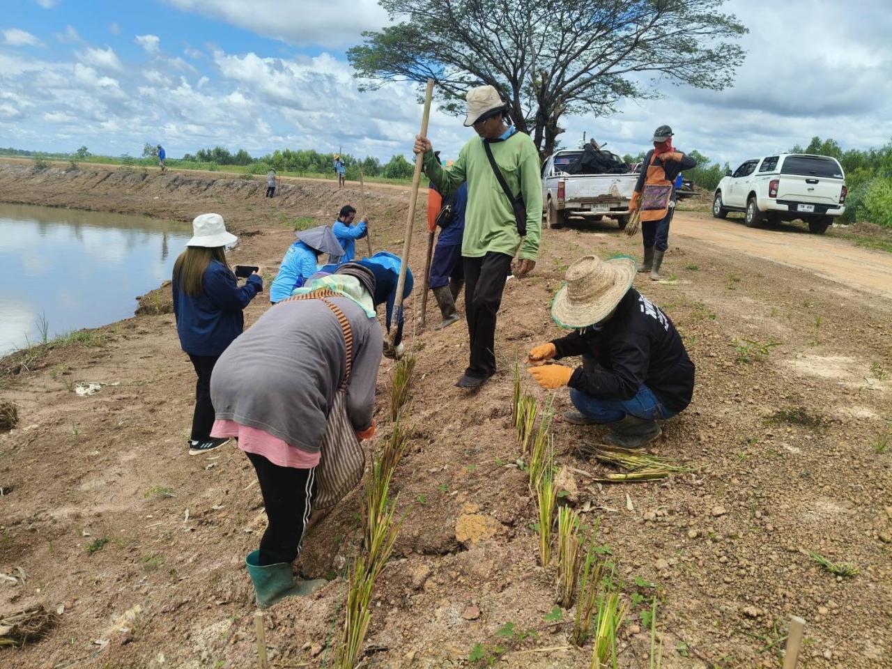 ภาพประกอบที่ 13