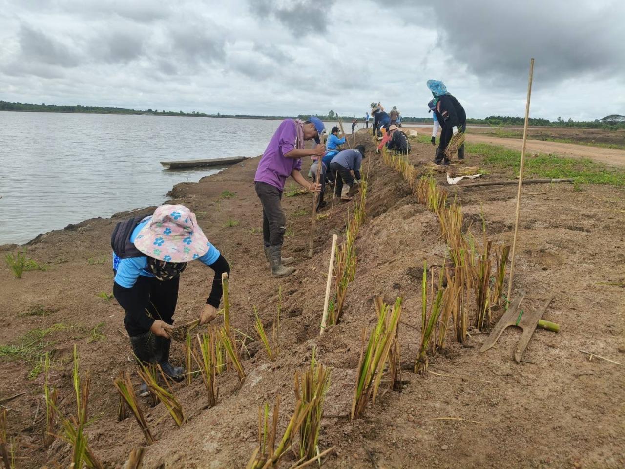 ภาพประกอบที่ 15