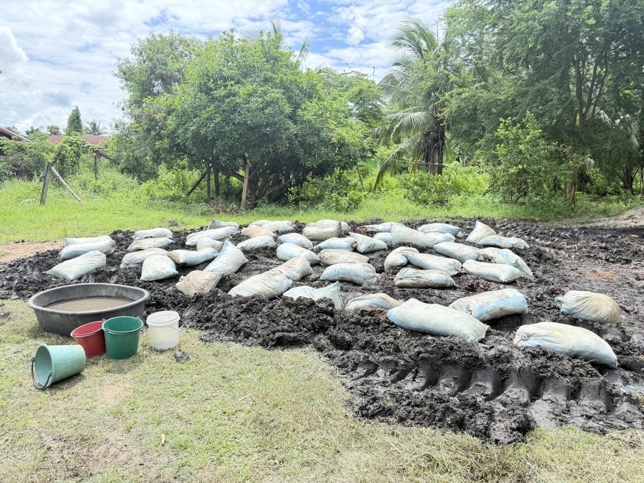 ภาพประกอบที่ 5