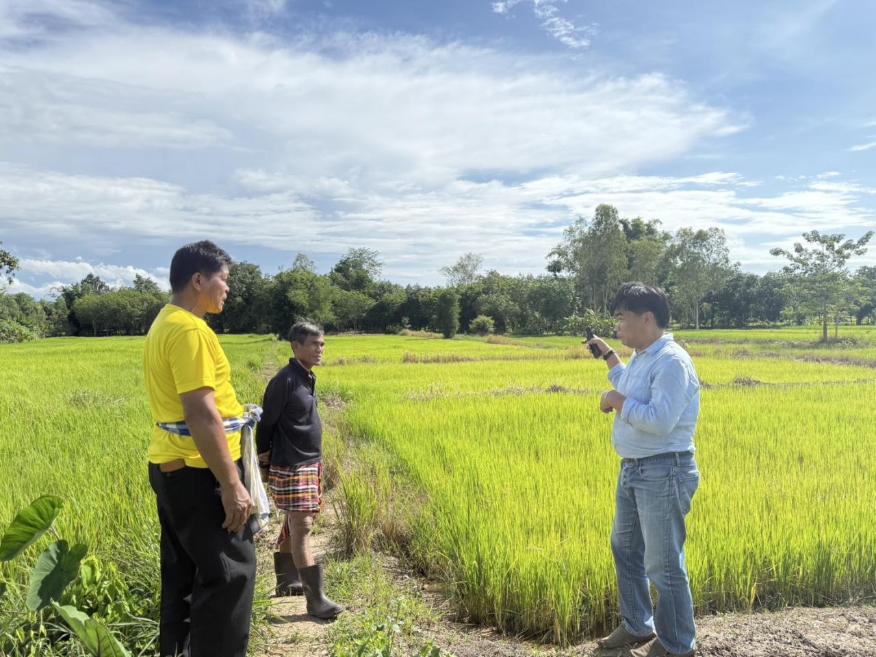 ภาพประกอบที่ 14