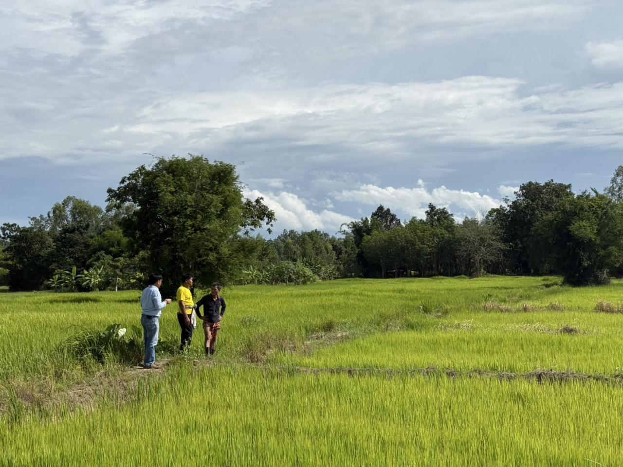 ภาพประกอบที่ 15