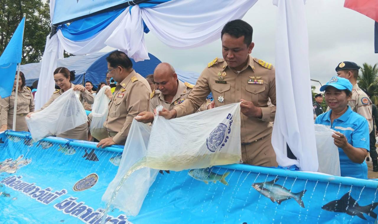 ภาพประกอบที่ 0