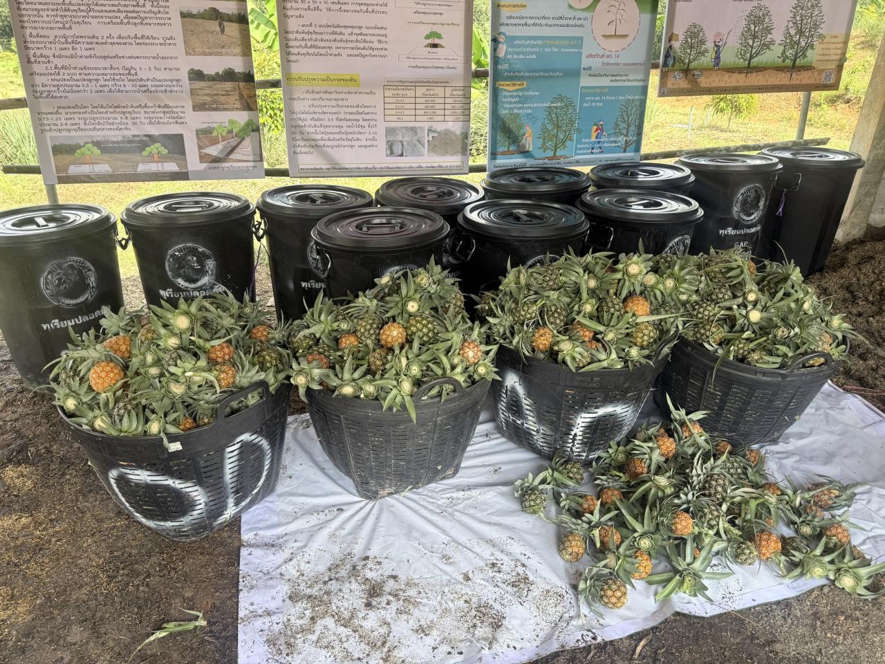 ภาพประกอบที่ 10