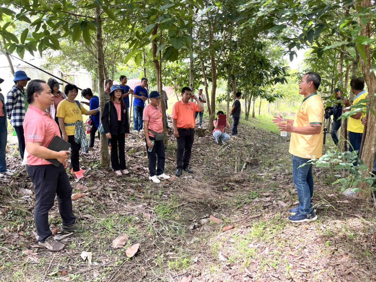 ภาพประกอบที่ 8