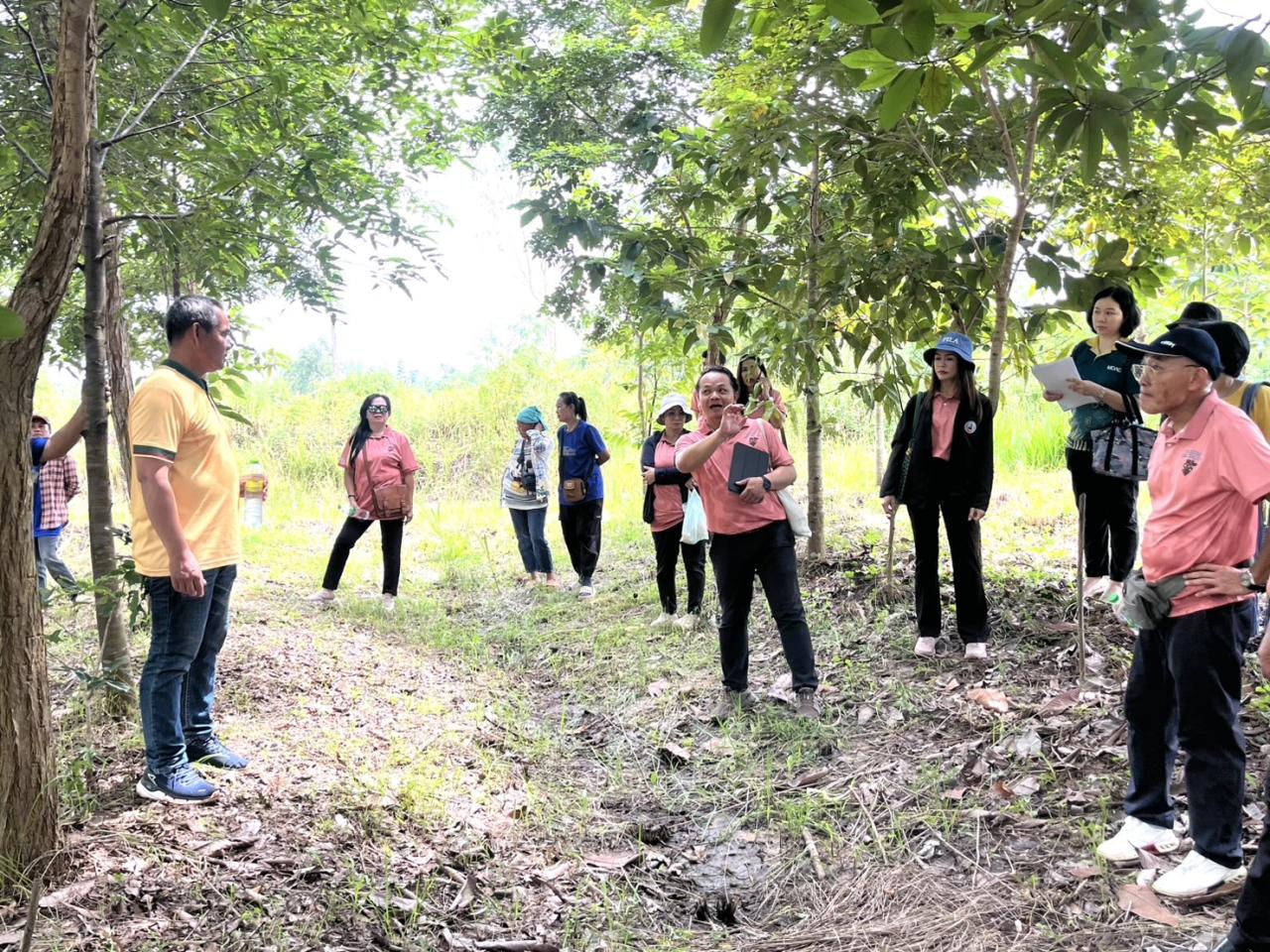 ภาพประกอบที่ 9