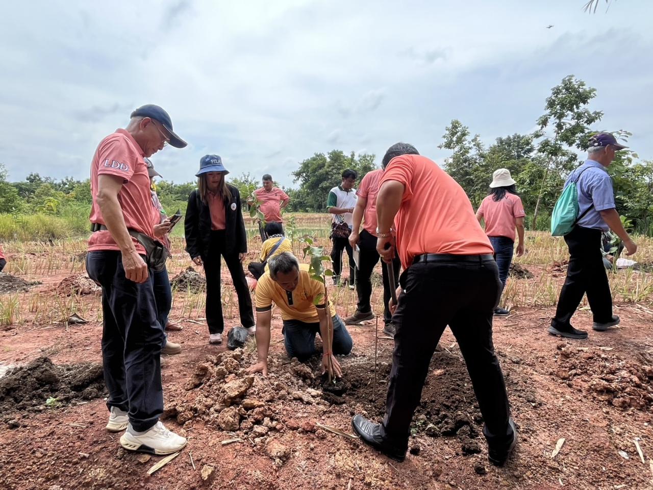 ภาพประกอบที่ 11