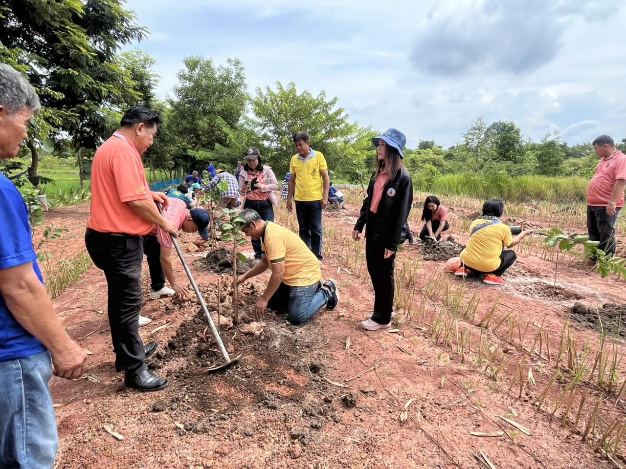 ภาพประกอบที่ 12