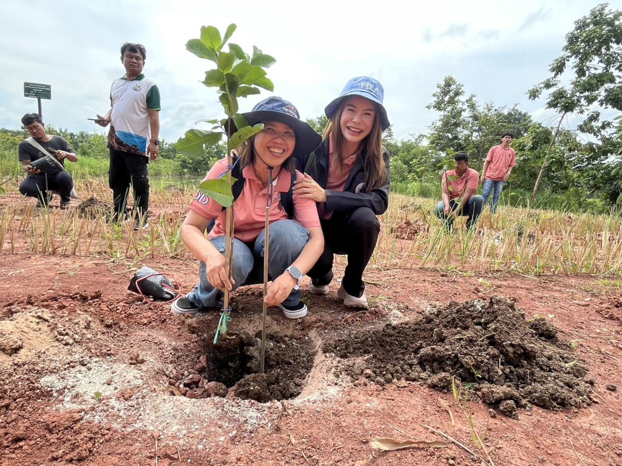 ภาพประกอบที่ 13
