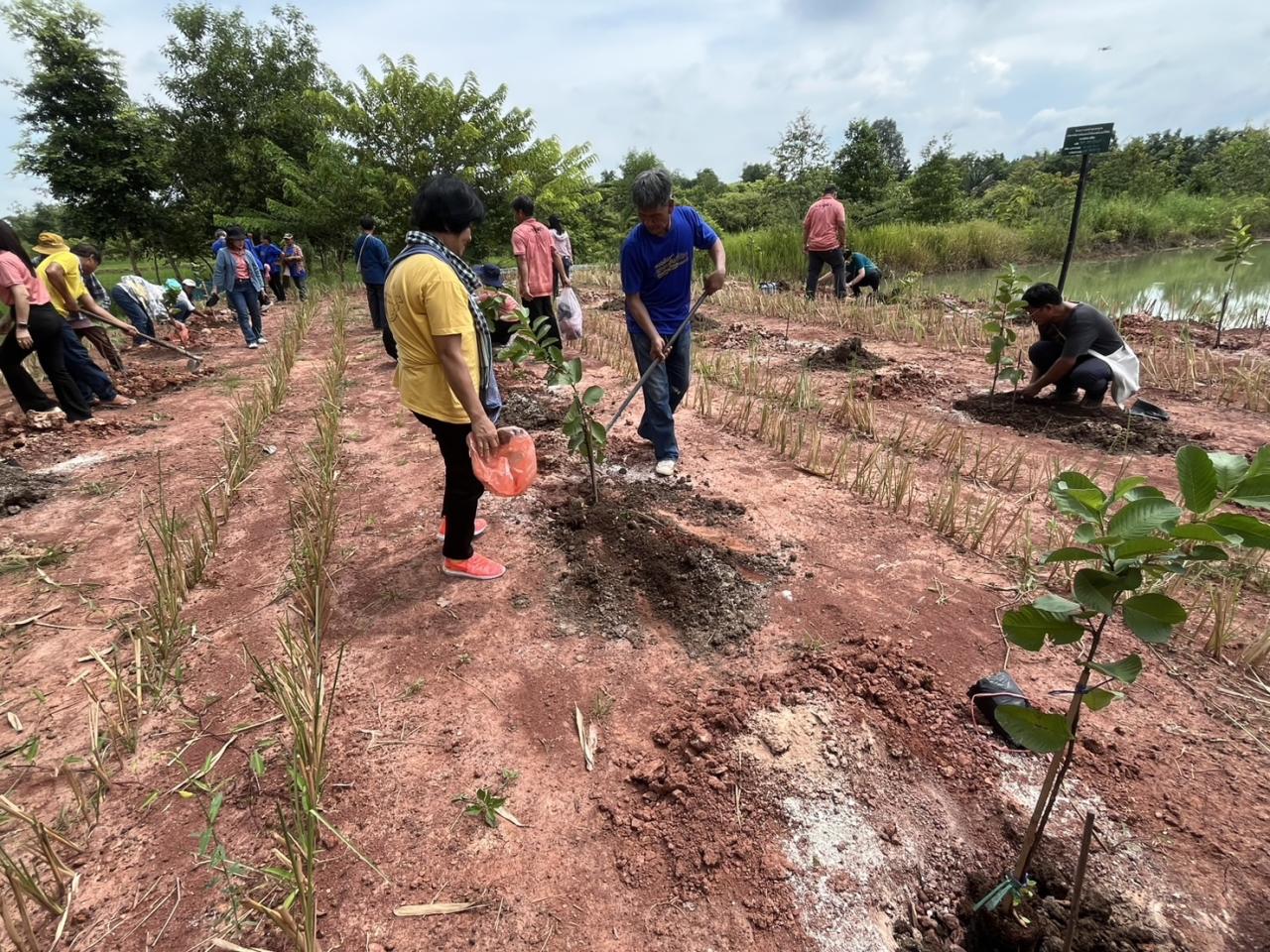 ภาพประกอบที่ 14