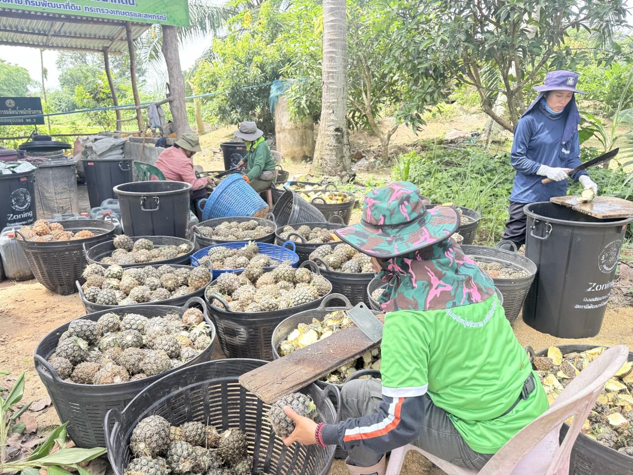 ภาพประกอบที่ 2