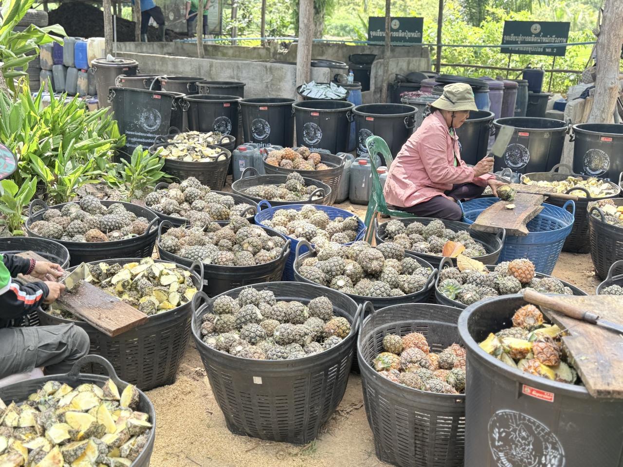 ภาพประกอบที่ 5