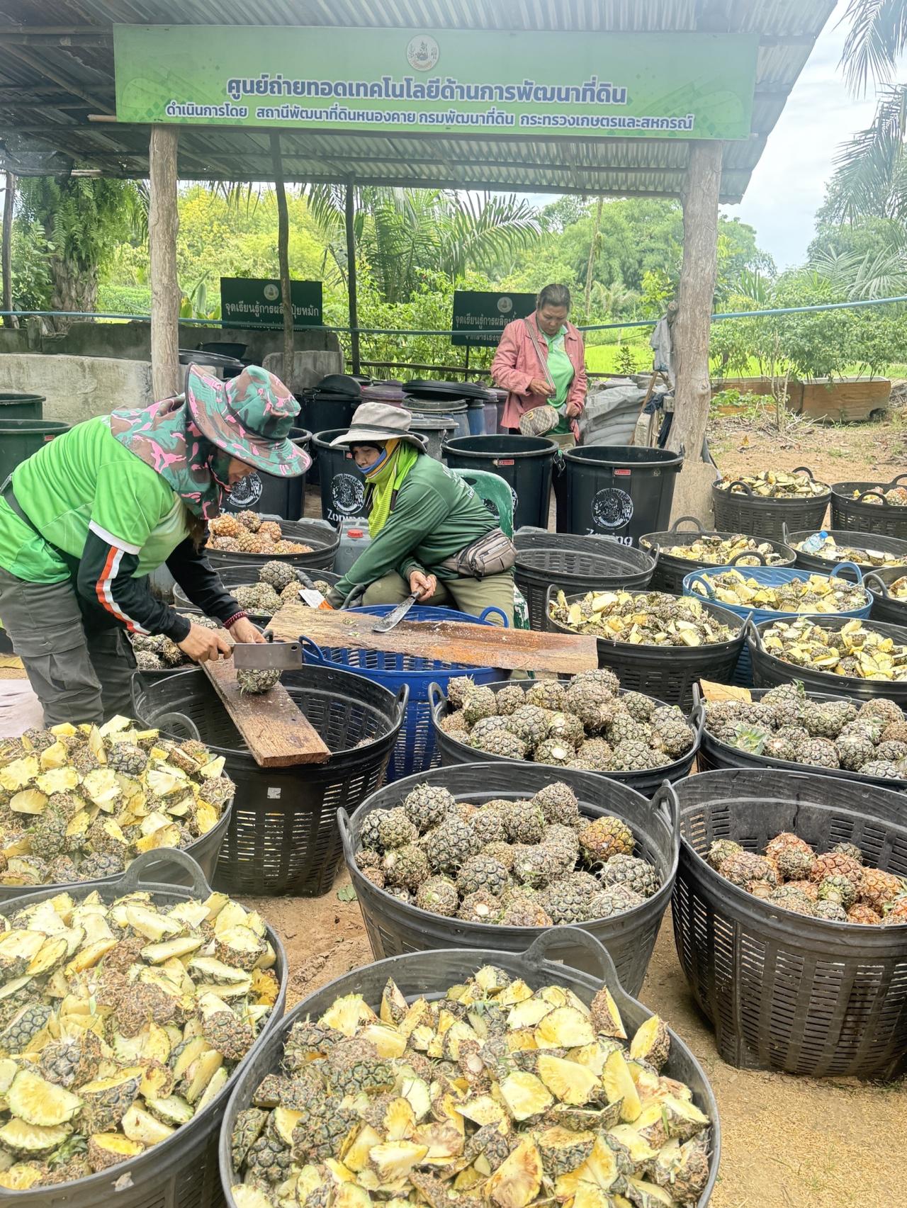 ภาพประกอบที่ 6