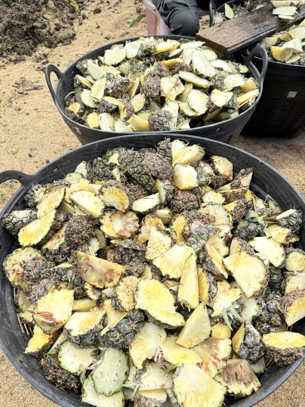 ภาพประกอบที่ 7