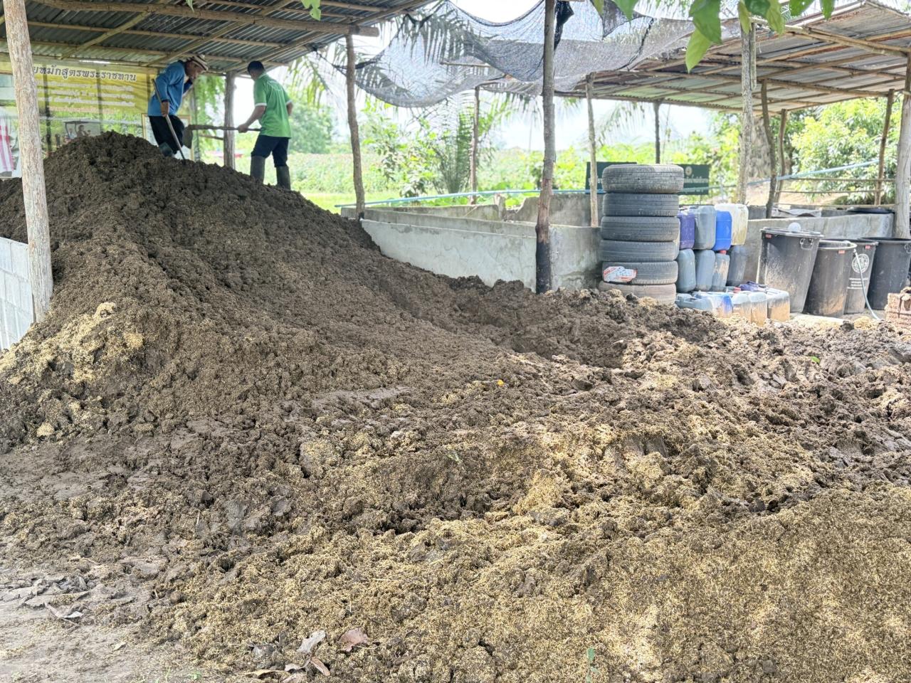 ภาพประกอบที่ 8