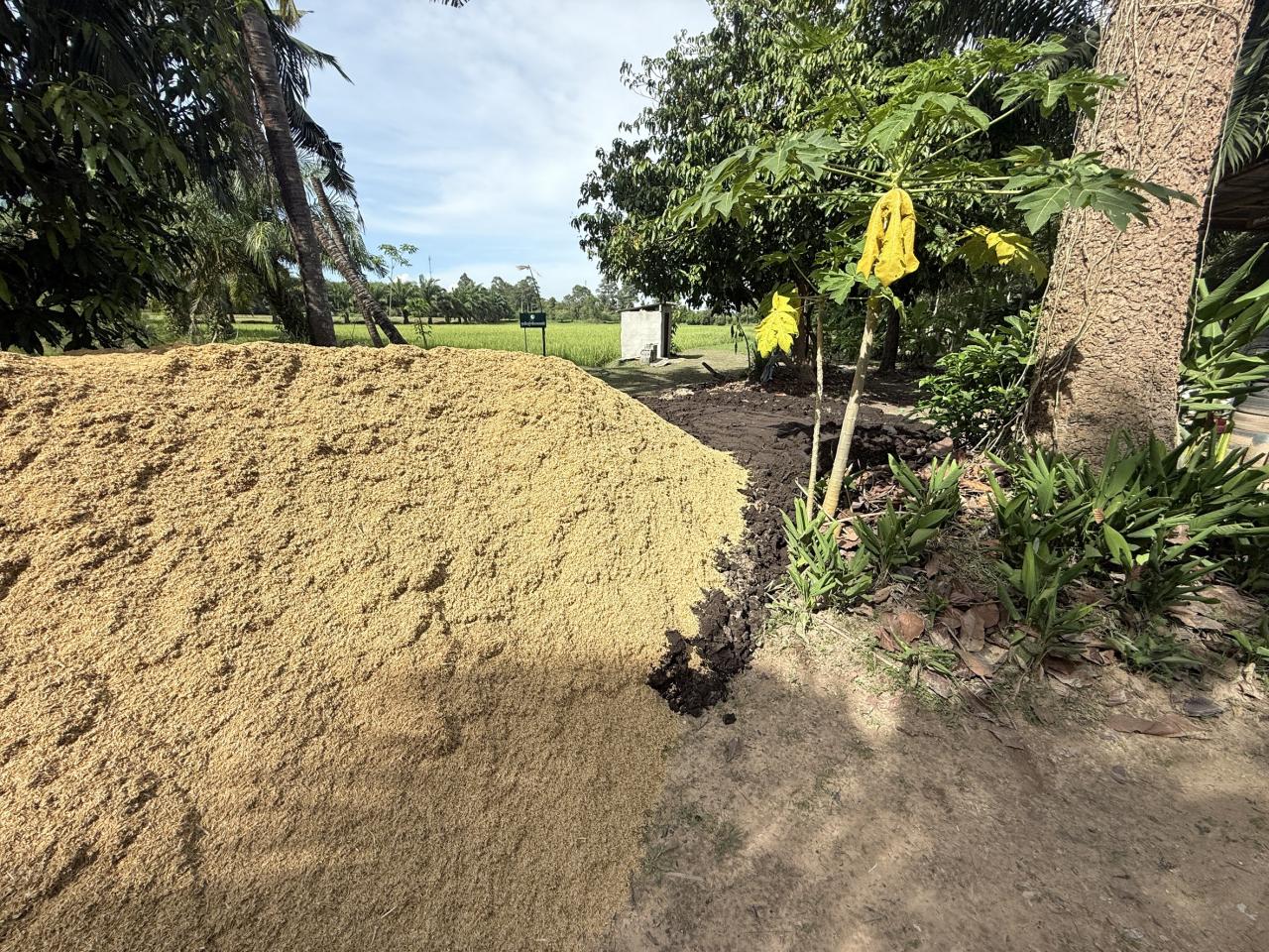 ภาพประกอบที่ 9