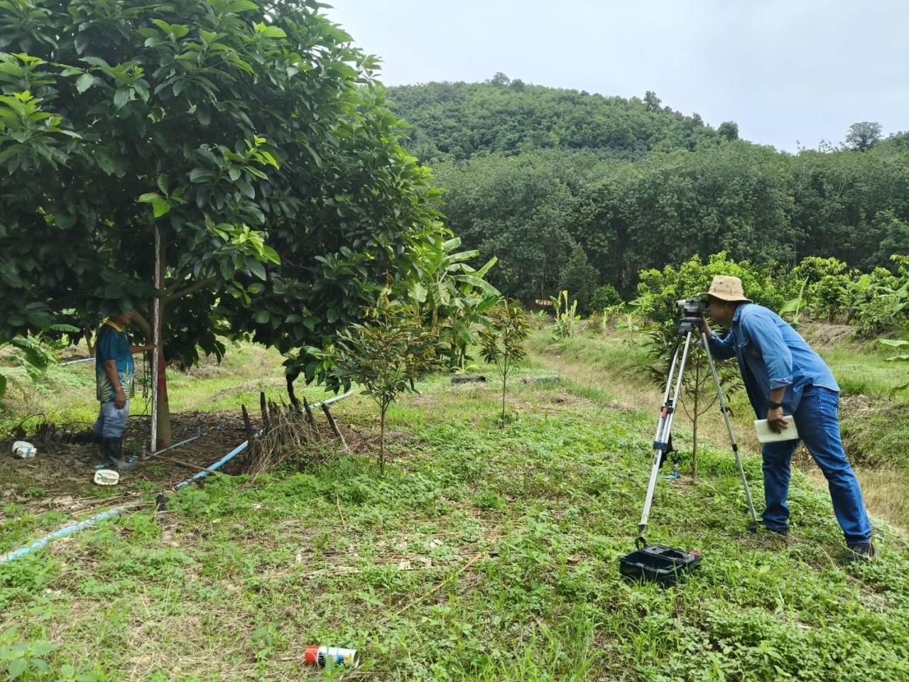ภาพประกอบที่ 3