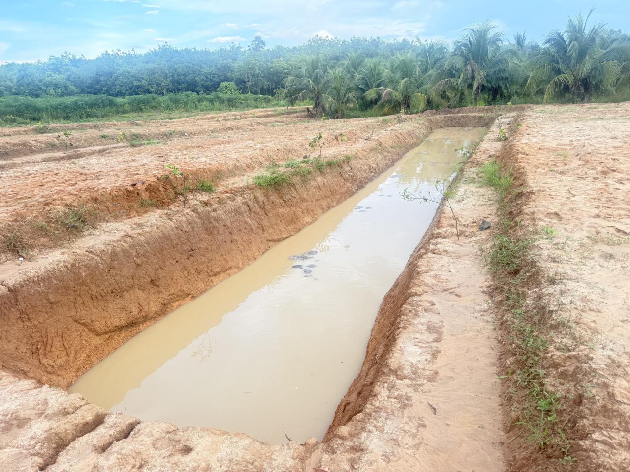 ภาพประกอบที่ 7