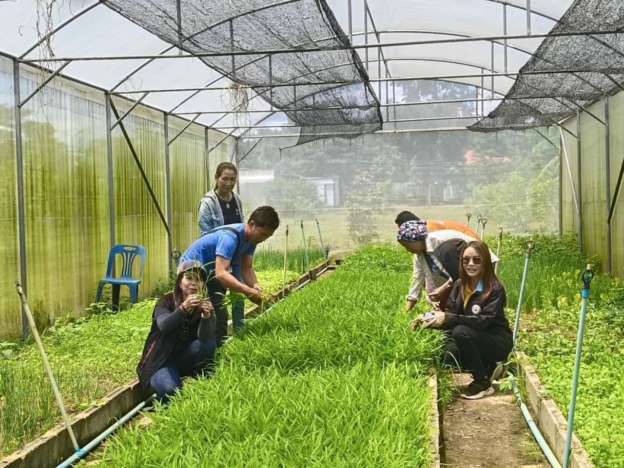 ภาพประกอบที่ 4