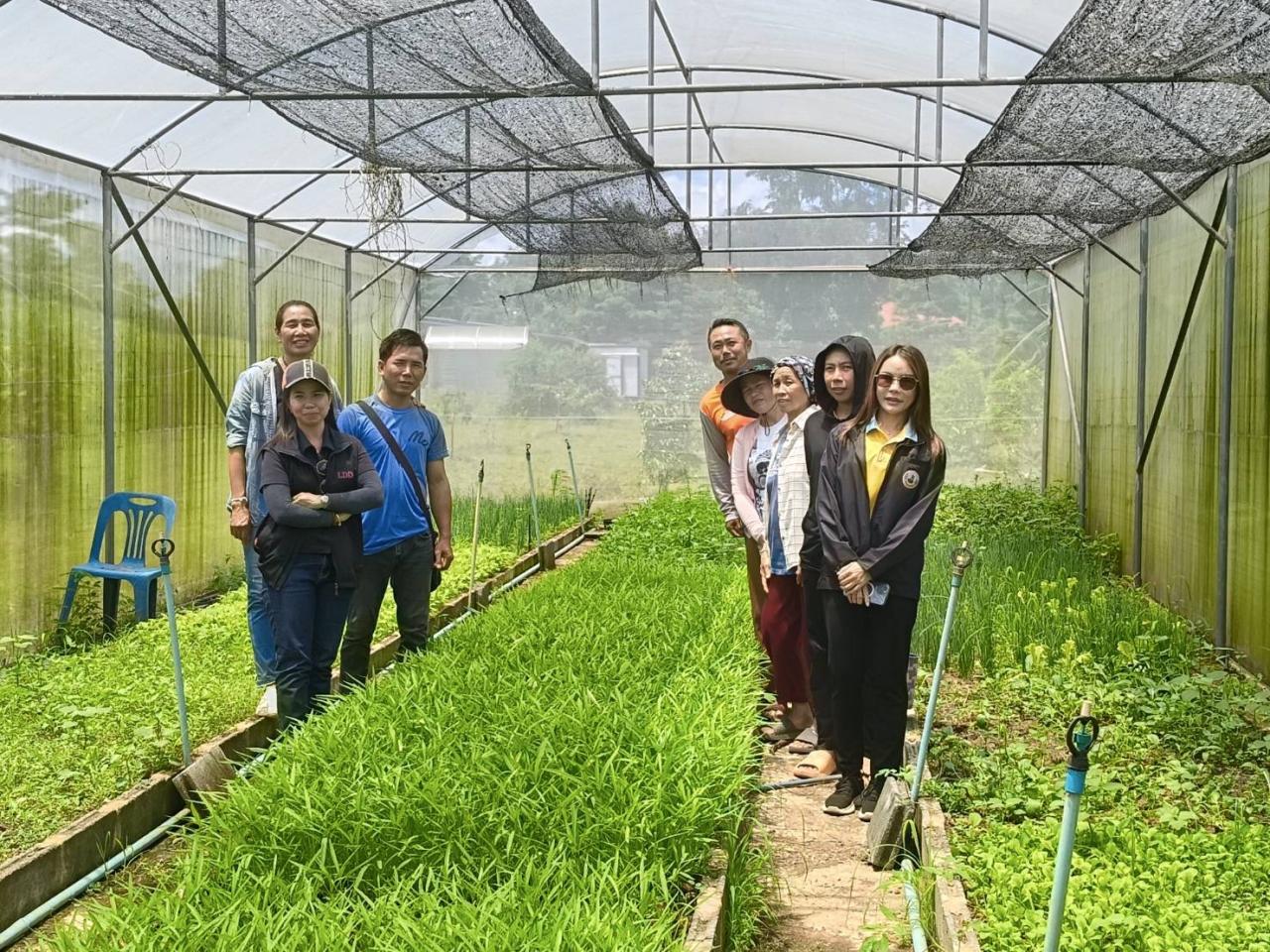 ภาพประกอบที่ 5