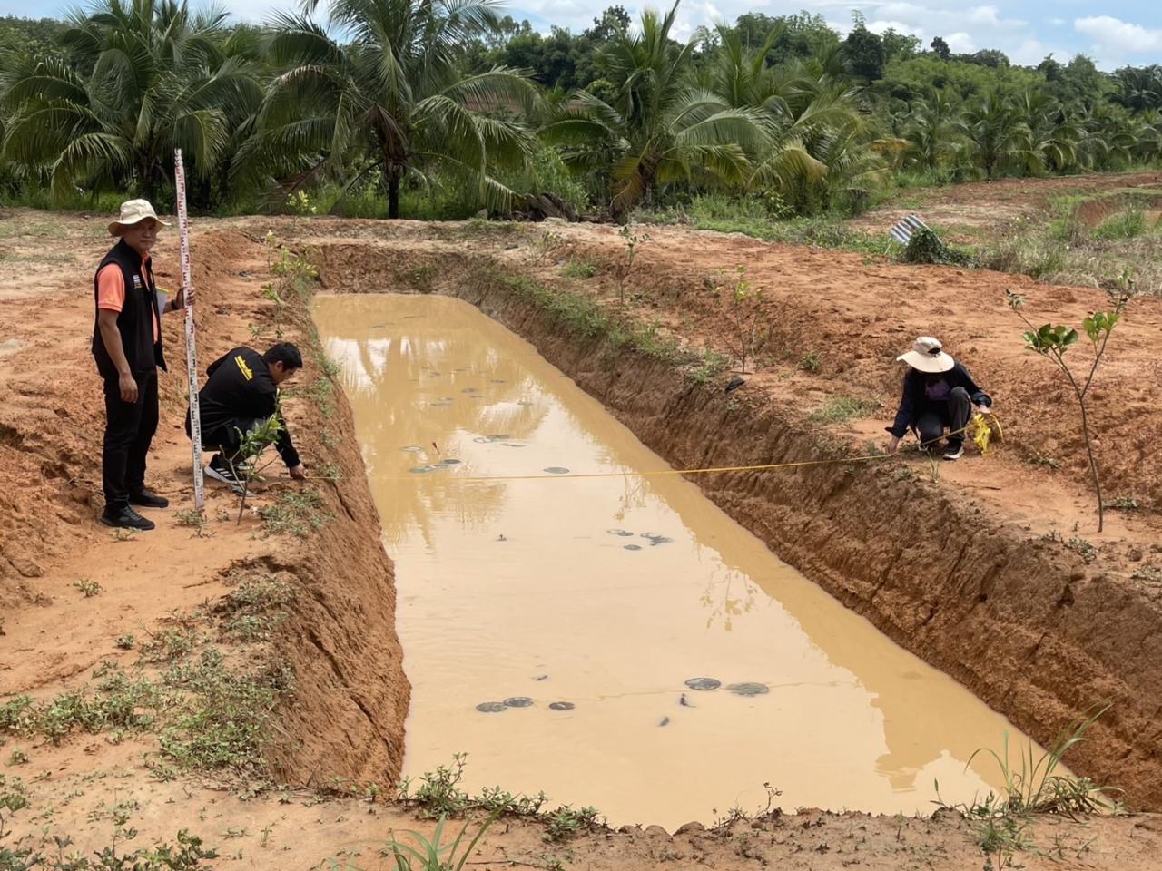 ภาพประกอบที่ 7