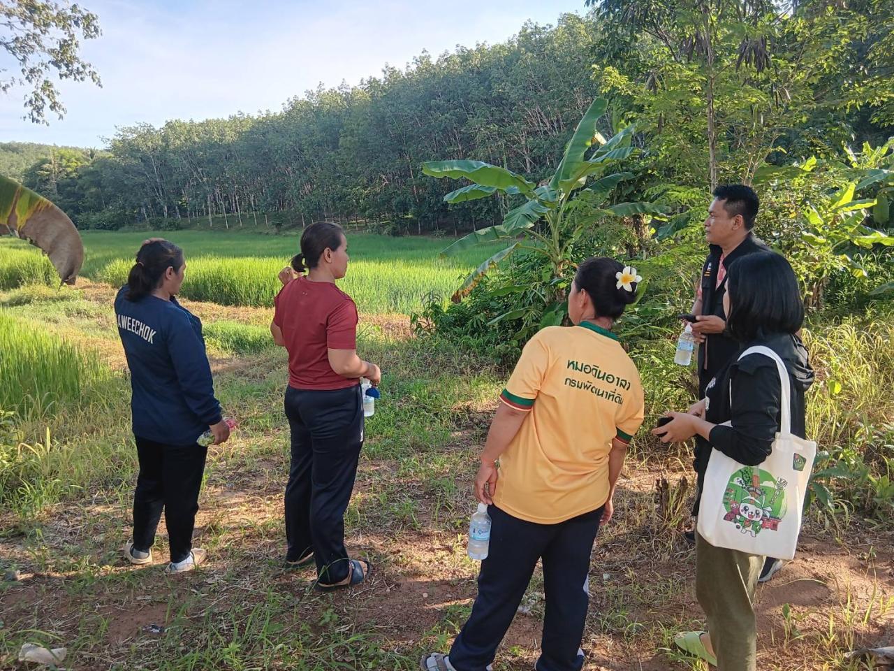ภาพประกอบที่ 10